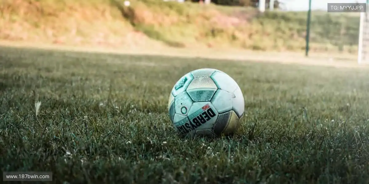 🎯精准数据，深度解析赛事背后的故事！